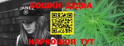 индика Пушкино