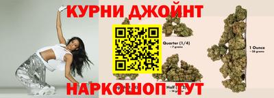 индика Пушкино