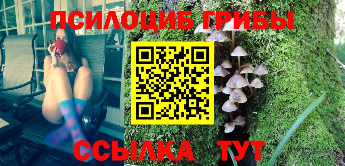 Галлюциногенные грибы Magic Shrooms  Вход с VPN  Симферополь 