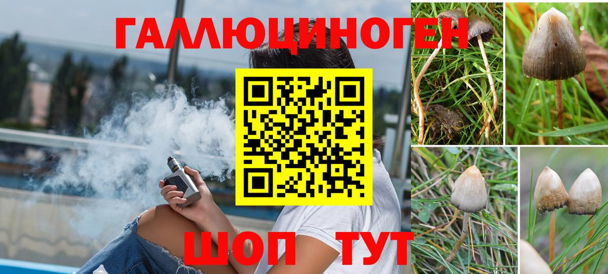 Галлюциногенные грибы ЛСД Симферополь
